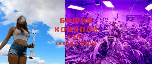 бошки Верея